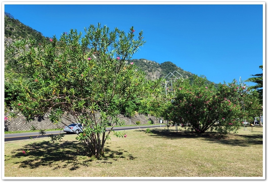 台東東河鄉衝浪聖地《金樽遊憩區》金樽陸連島消失的《貓洞》 台東東河鄉衝浪聖地《金樽遊憩區》金樽陸連島消失的《貓洞》