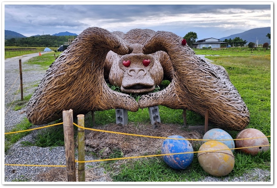 花蓮富里鄉《2024富里稻草藝術季》在花海中與猩猩家族一起拍