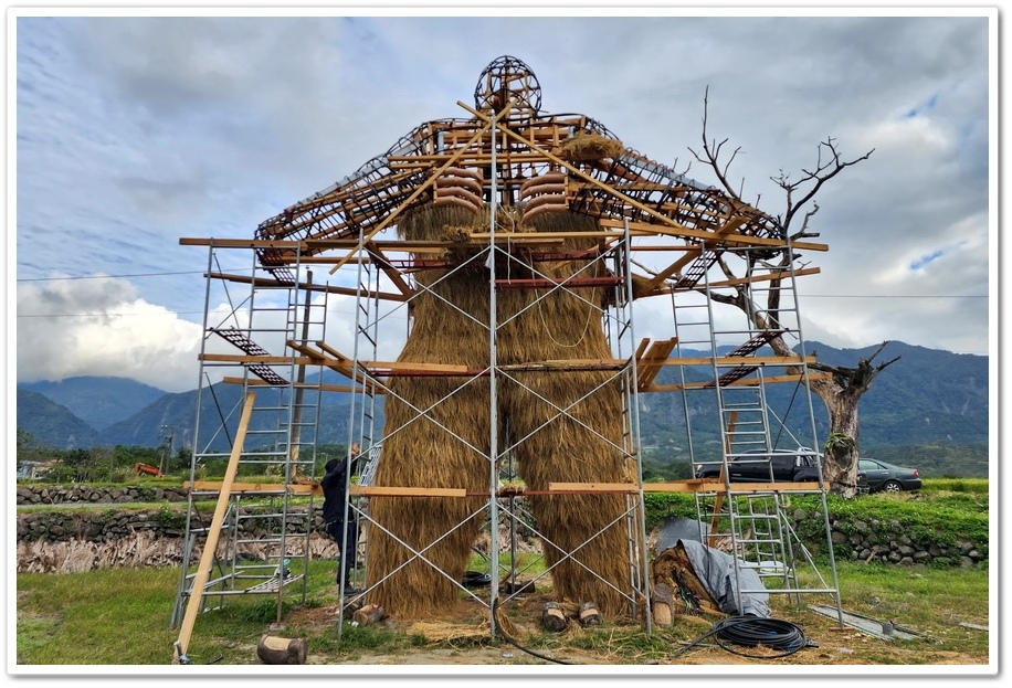 花蓮富里鄉《2024富里稻草藝術季》在花海中與猩猩家族一起拍