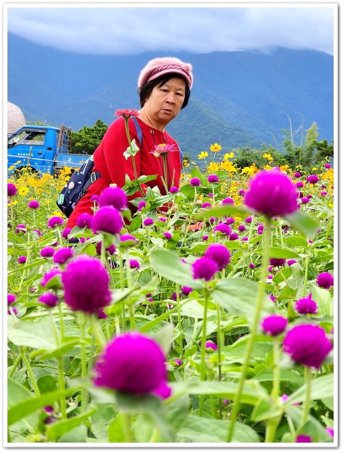 花蓮富里鄉《2024富里稻草藝術季》在花海中與猩猩家族一起拍