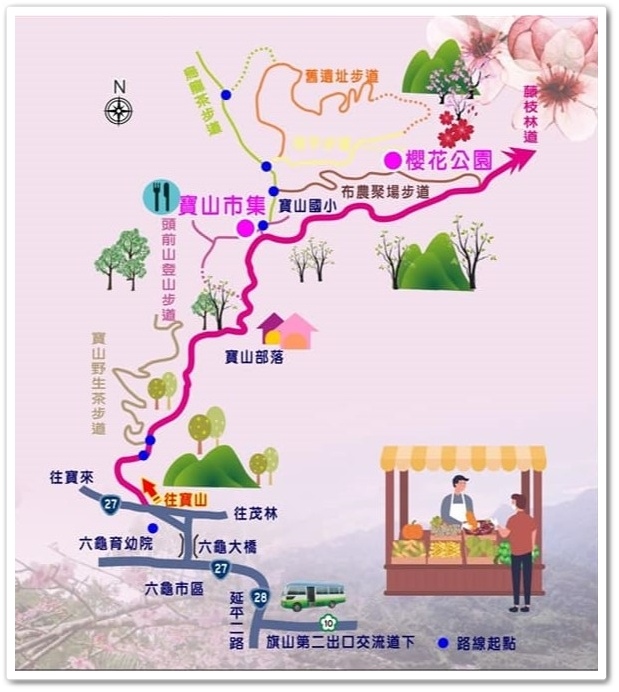 高雄桃源區《寶山二集團櫻花公園》2024櫻花季─粉色河津櫻有