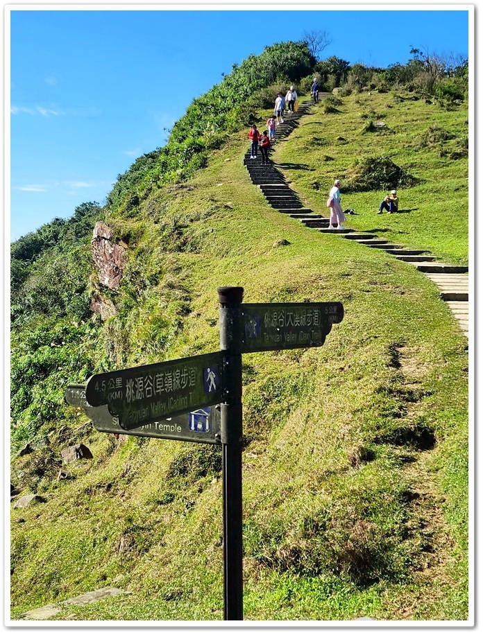 宜蘭與新北交界的《桃源谷青青草原》坐擁360度的山海無敵美景