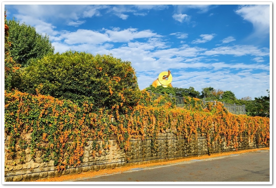 雲林新春哪裡賞花？斗六《湖山岩寺》彌勒佛後面有著一片炮仗花海