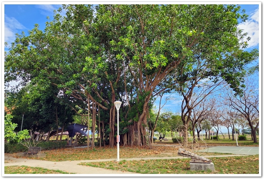 雲林昔日《林內寶隆紙廠》打造而成的【紙蝶生態地景園區】