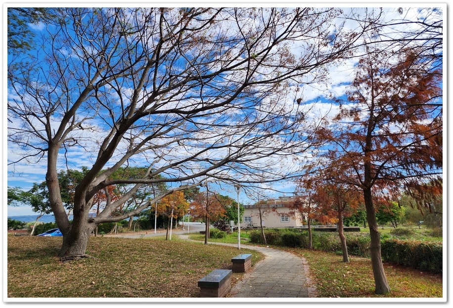 雲林昔日《林內寶隆紙廠》打造而成的【紙蝶生態地景園區】