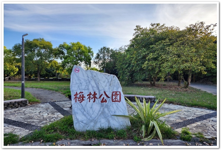 雲林斗六《梅林溪紅花風鈴木》滿版粉嫩花景妝點溪岸風華