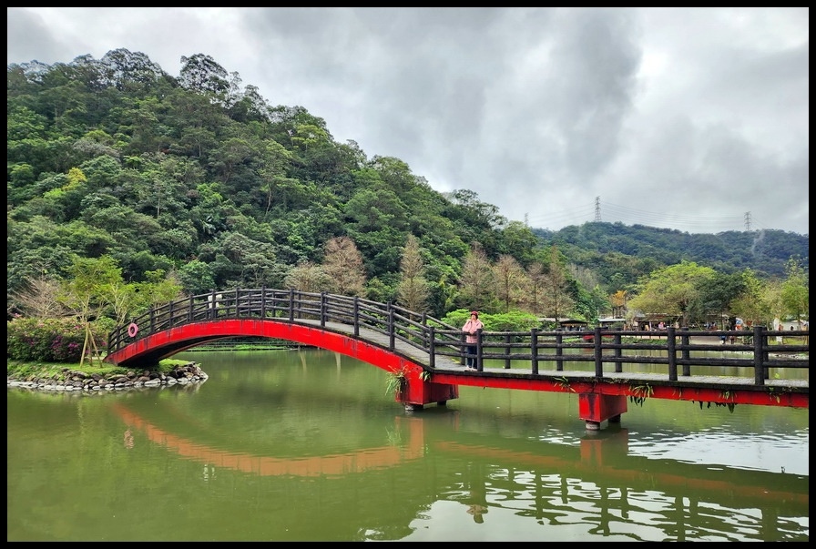 宜蘭員山《望龍埤》花田村下一站幸福─九曲紅橋、環湖步道落羽松