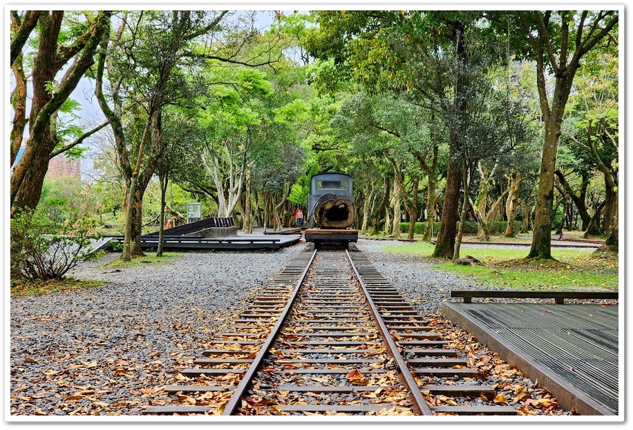 宜蘭《羅東林業文化園區》可以無拘無束漫步在森林鐵道中的園區