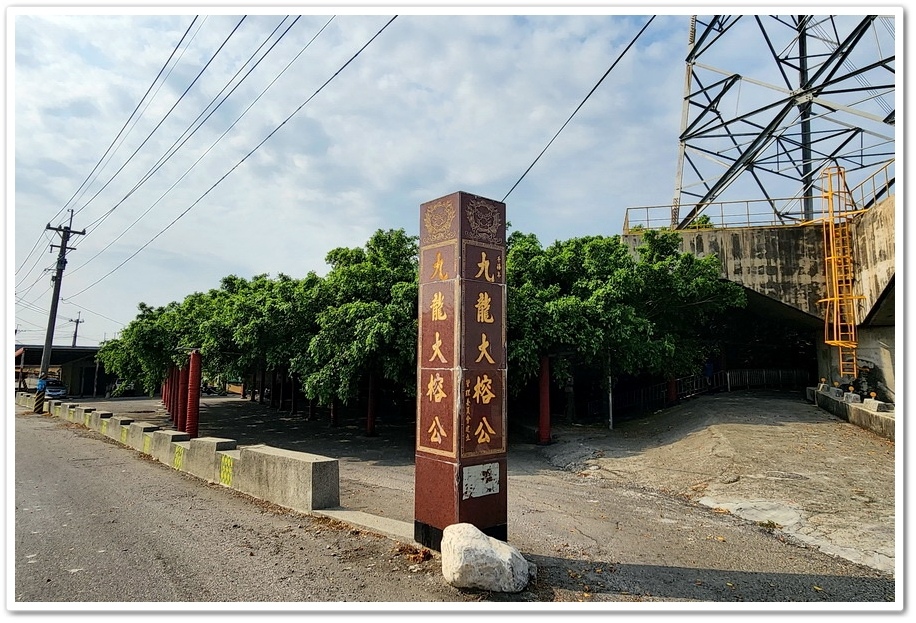 彰化竹塘《九龍大榕公》獨木成林、樹冠面積達三千多坪、全台最寬