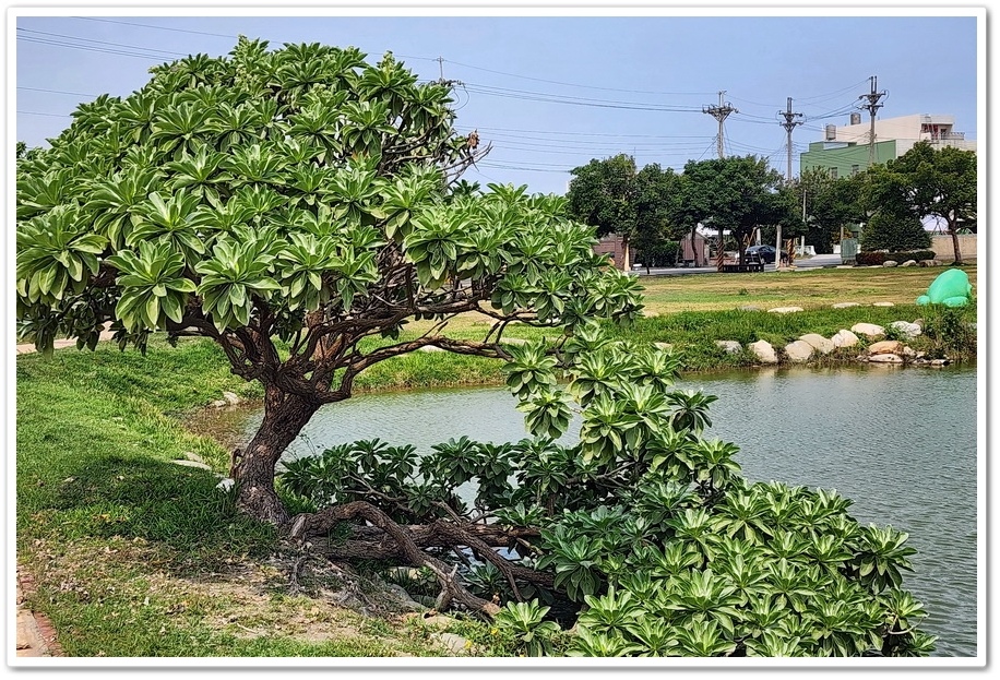 雲林麥寮《金木園區紙漿藝術村》以紙漿藝術為主題所打造的藝術村