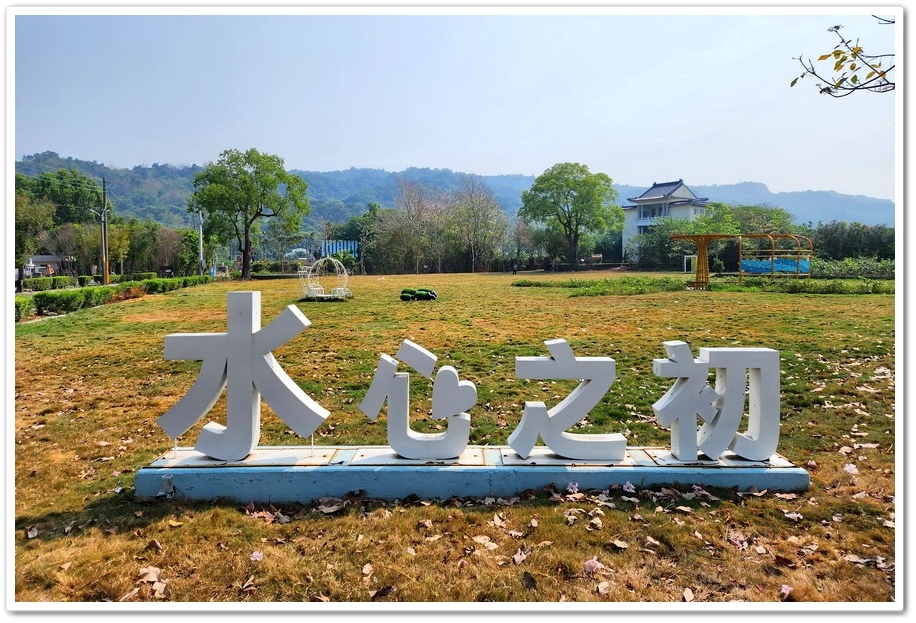 彰化二水《水之心運動公園》崇德寶塔花旗木被譽為『彰化版天元宮