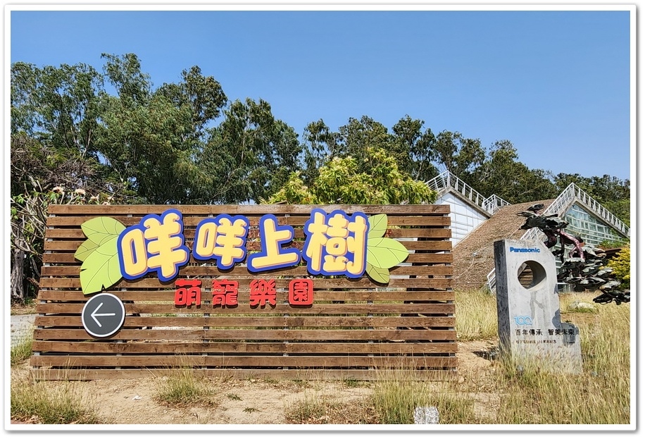 嘉義太保市《咩咩上樹萌寵樂園》森林高空冒險與餵食超萌療癒小羊