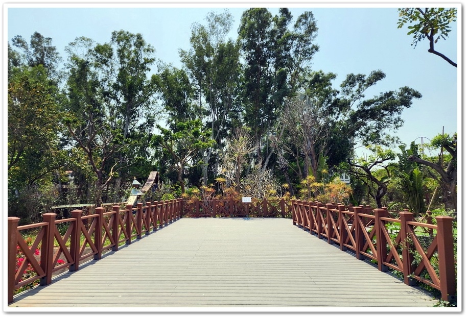 嘉義太保市《咩咩上樹萌寵樂園》森林高空冒險與餵食超萌療癒小羊