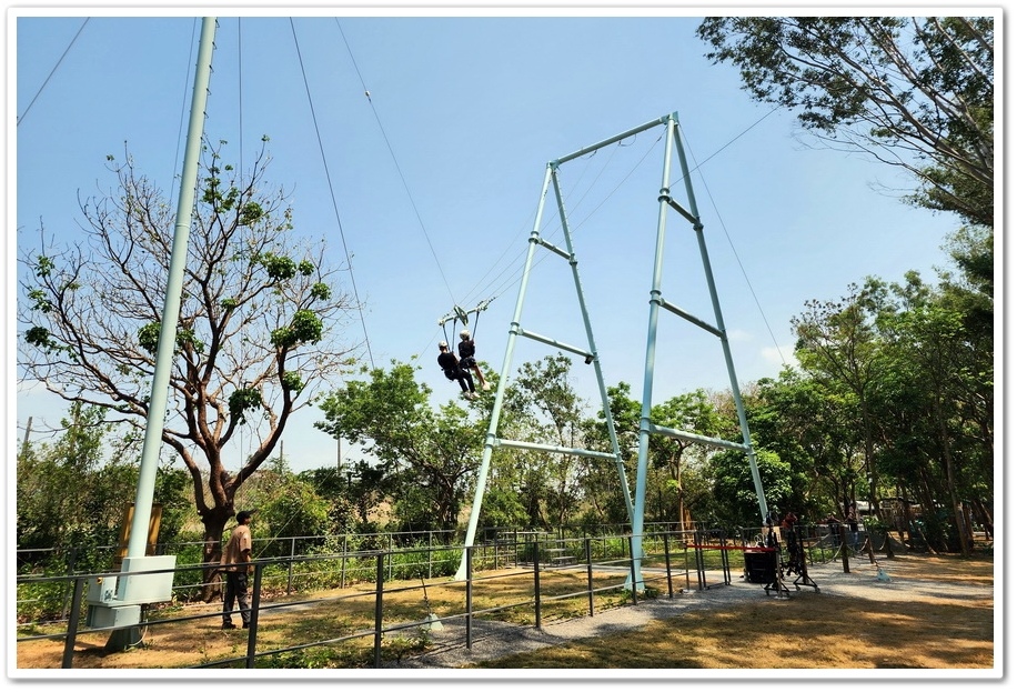 嘉義太保市《咩咩上樹萌寵樂園》森林高空冒險與餵食超萌療癒小羊