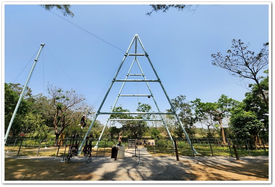 嘉義太保市《咩咩上樹萌寵樂園》森林高空冒險與餵食超萌療癒小羊