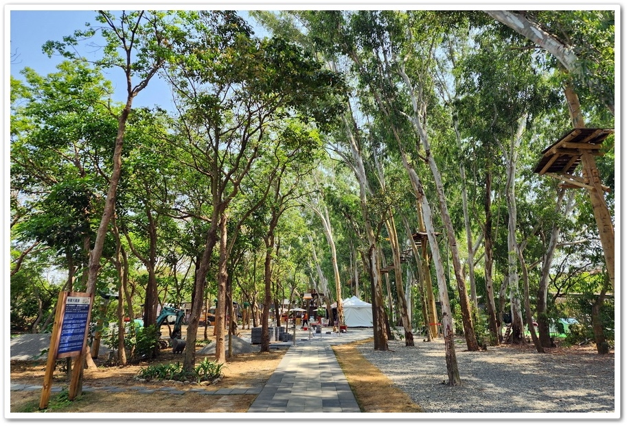 嘉義太保市《咩咩上樹萌寵樂園》森林高空冒險與餵食超萌療癒小羊