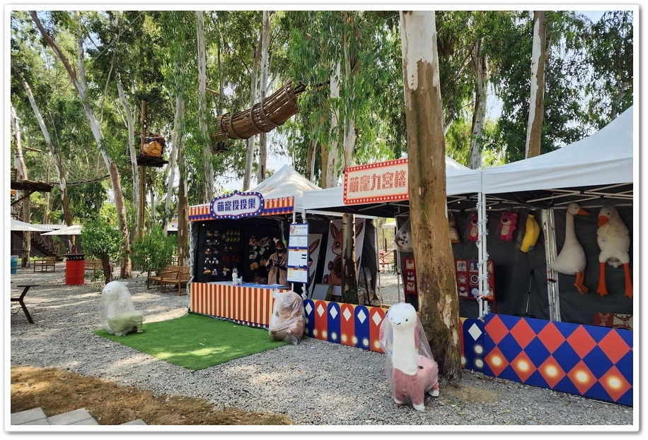 嘉義太保市《咩咩上樹萌寵樂園》森林高空冒險與餵食超萌療癒小羊