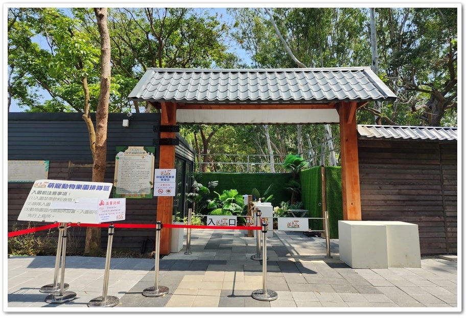 嘉義太保市《咩咩上樹萌寵樂園》森林高空冒險與餵食超萌療癒小羊