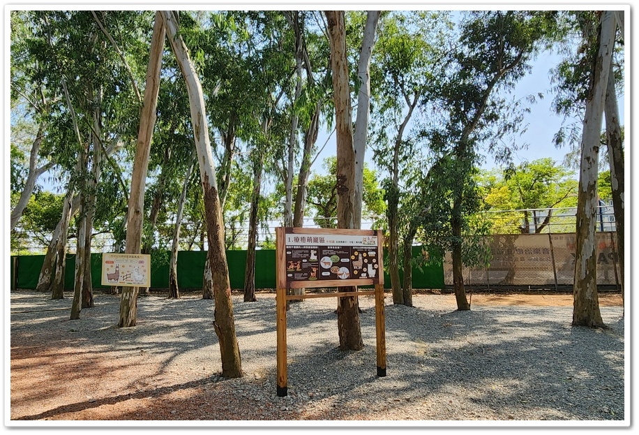 嘉義太保市《咩咩上樹萌寵樂園》森林高空冒險與餵食超萌療癒小羊