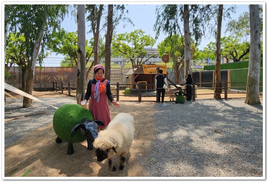 嘉義太保市《咩咩上樹萌寵樂園》森林高空冒險與餵食超萌療癒小羊