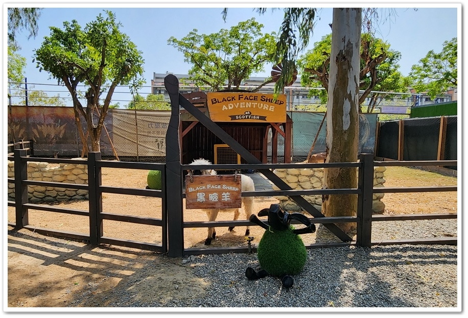 嘉義太保市《咩咩上樹萌寵樂園》森林高空冒險與餵食超萌療癒小羊