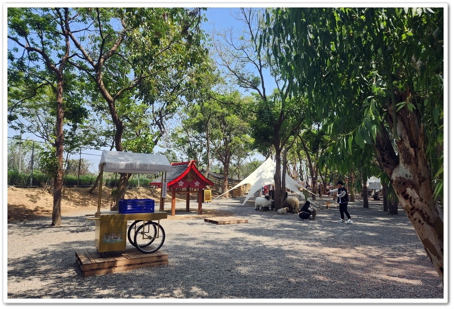 嘉義太保市《咩咩上樹萌寵樂園》森林高空冒險與餵食超萌療癒小羊