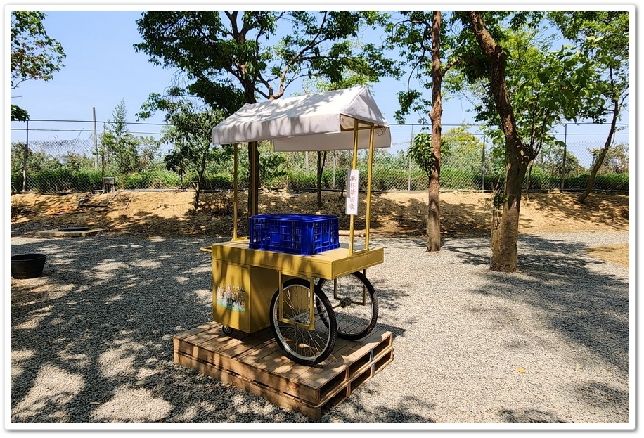 嘉義太保市《咩咩上樹萌寵樂園》森林高空冒險與餵食超萌療癒小羊