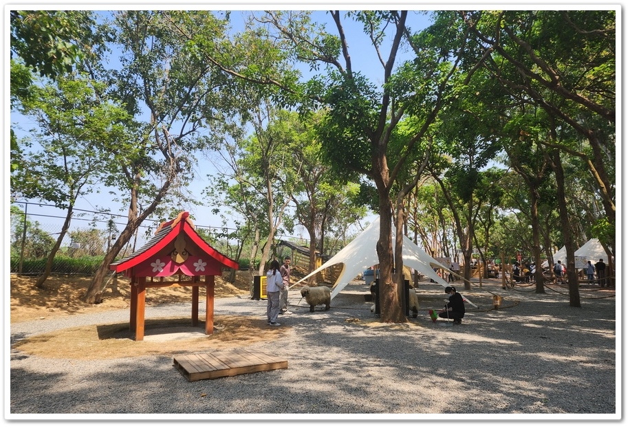 嘉義太保市《咩咩上樹萌寵樂園》森林高空冒險與餵食超萌療癒小羊