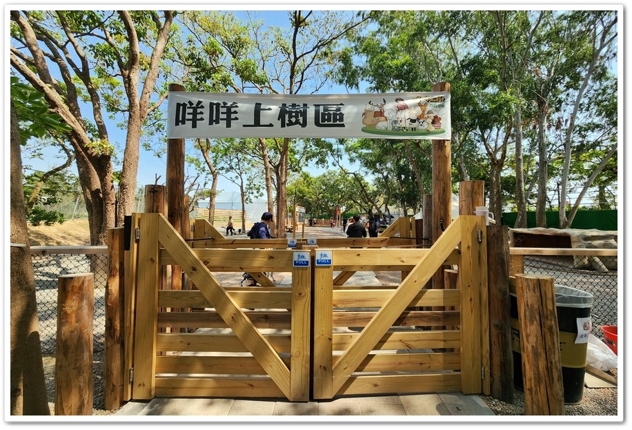 嘉義太保市《咩咩上樹萌寵樂園》森林高空冒險與餵食超萌療癒小羊