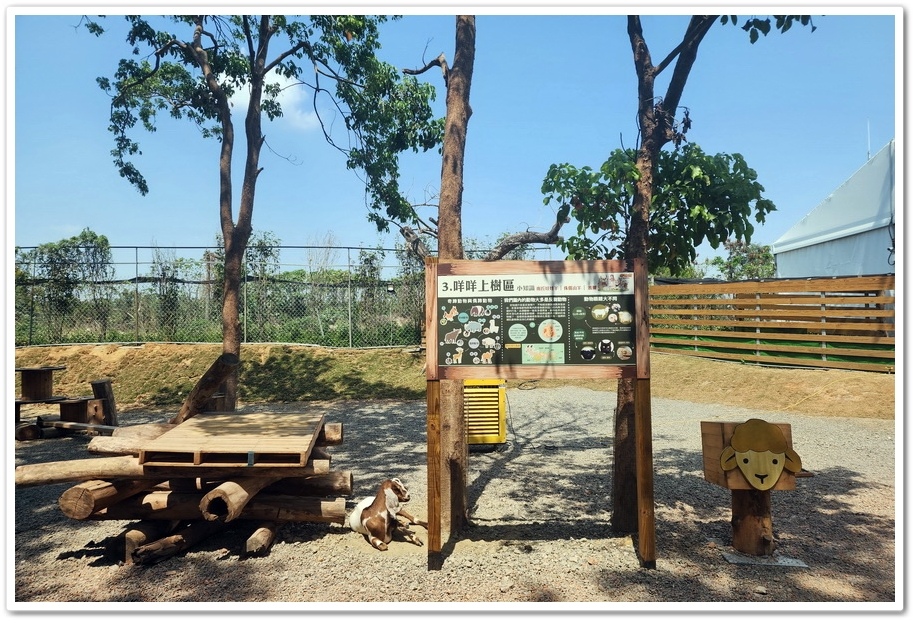 嘉義太保市《咩咩上樹萌寵樂園》森林高空冒險與餵食超萌療癒小羊