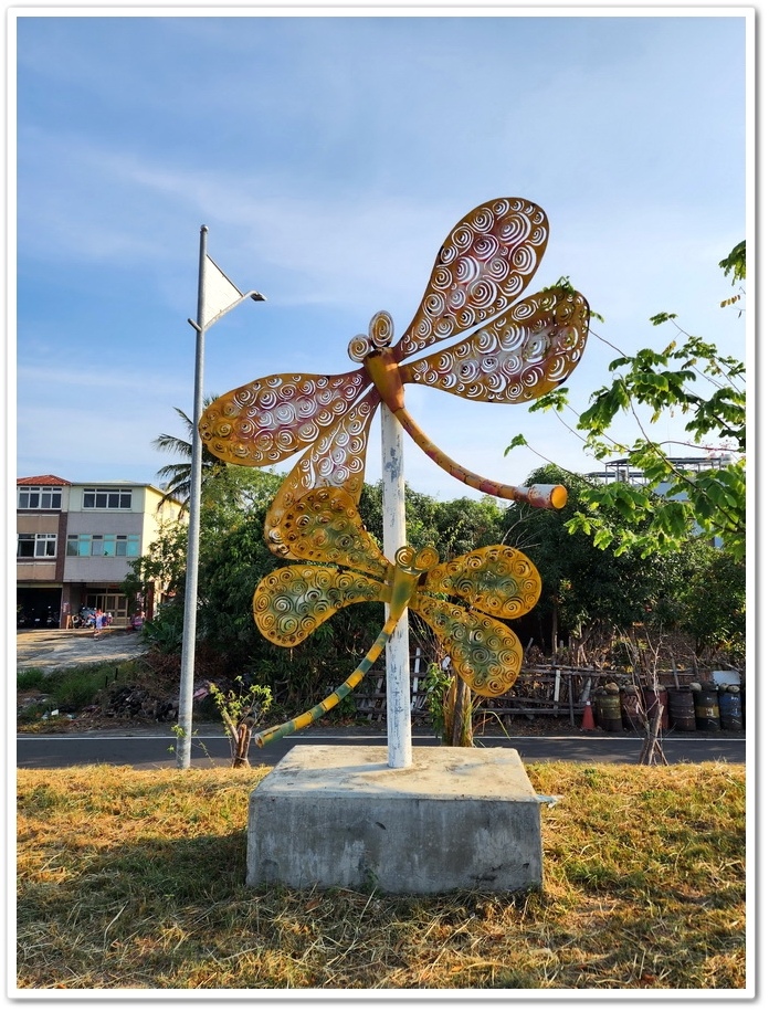 雲林縣斗六市梅林溪畔花旗木