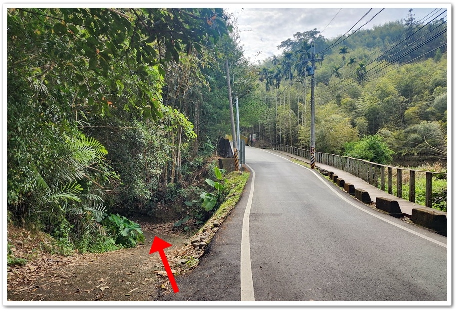 南投縣鹿谷鄉小半天【長源圳生態步道、孟宗竹林古戰場】竹林漫步