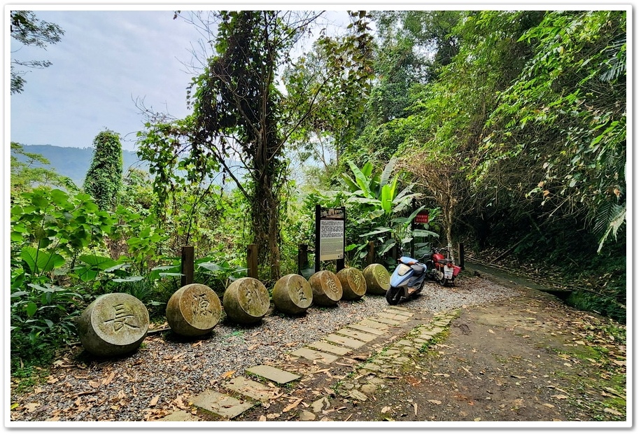 南投縣鹿谷鄉小半天【長源圳生態步道、孟宗竹林古戰場】竹林漫步
