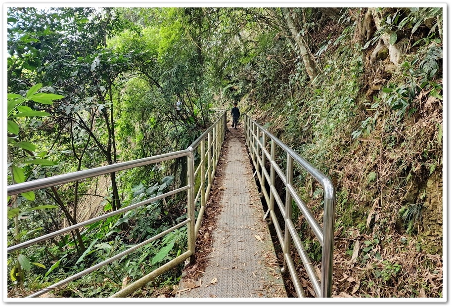 南投縣鹿谷鄉小半天【長源圳生態步道、孟宗竹林古戰場】竹林漫步