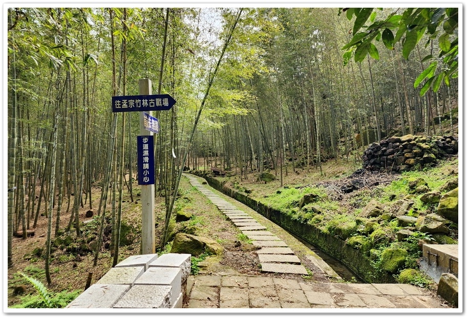 南投縣鹿谷鄉小半天【長源圳生態步道、孟宗竹林古戰場】竹林漫步
