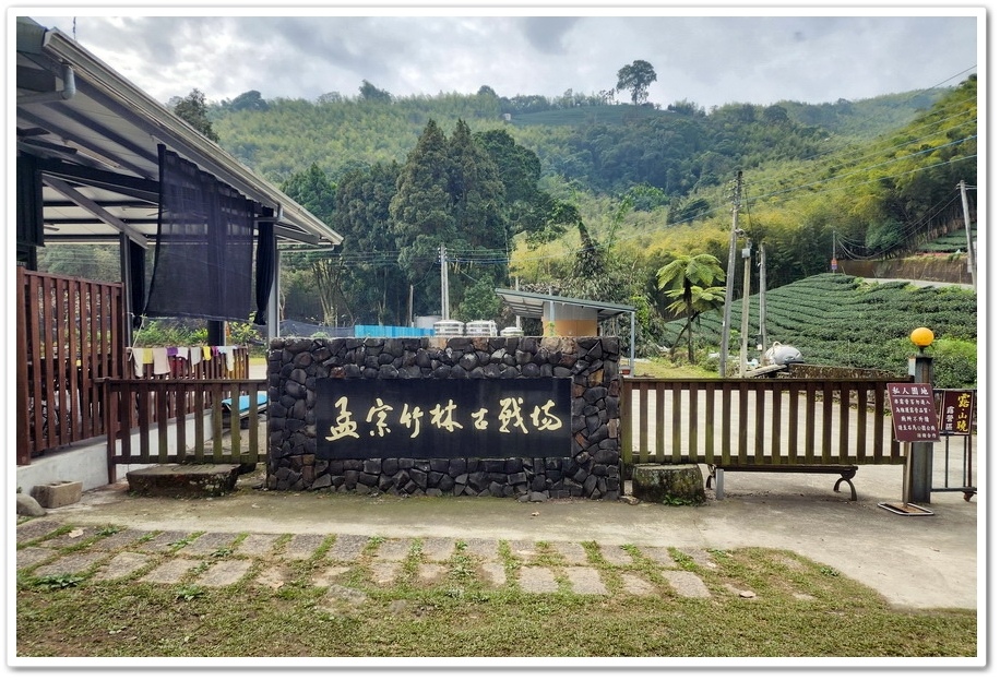 南投縣鹿谷鄉小半天【長源圳生態步道、孟宗竹林古戰場】竹林漫步