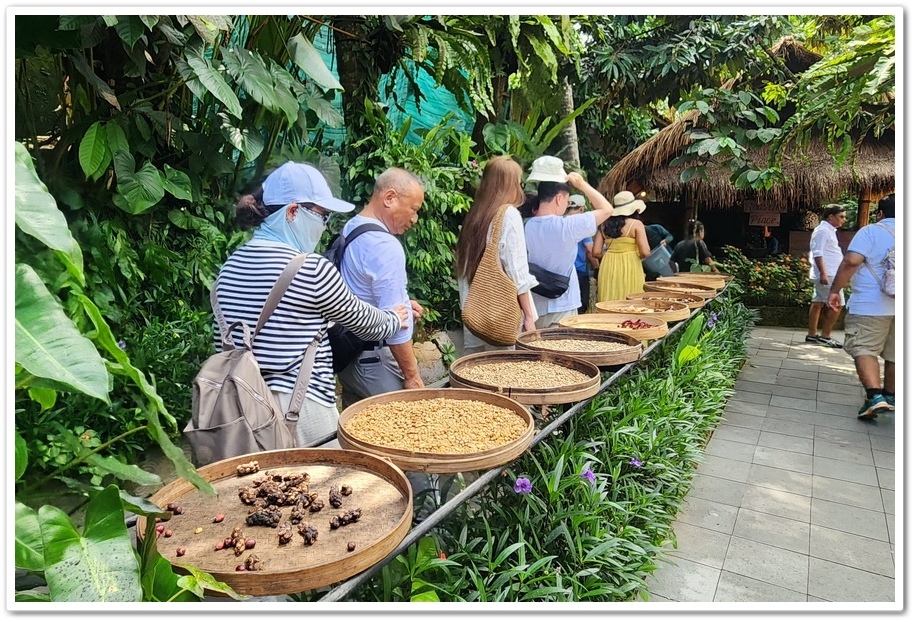 印尼《峇里島》5日遊2-6.【Alas Harum Bal 印尼《峇里島》5日遊2-6.【Alas Harum Bal