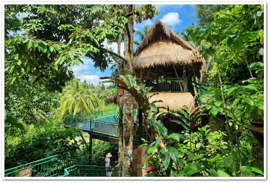 印尼《峇里島》5日遊2-6.【Alas Harum Bal 印尼《峇里島》5日遊2-6.【Alas Harum Bal