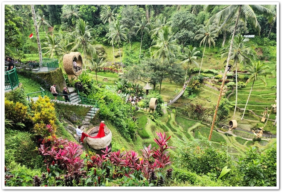 印尼《峇里島》5日遊2-6.【Alas Harum Bal 印尼《峇里島》5日遊2-6.【Alas Harum Bal