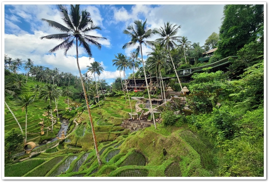 印尼《峇里島》5日遊2-6.【Alas Harum Bal 印尼《峇里島》5日遊2-6.【Alas Harum Bal