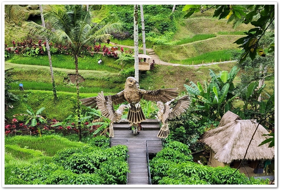 印尼《峇里島》5日遊2-6.【Alas Harum Bal 印尼《峇里島》5日遊2-6.【Alas Harum Bal