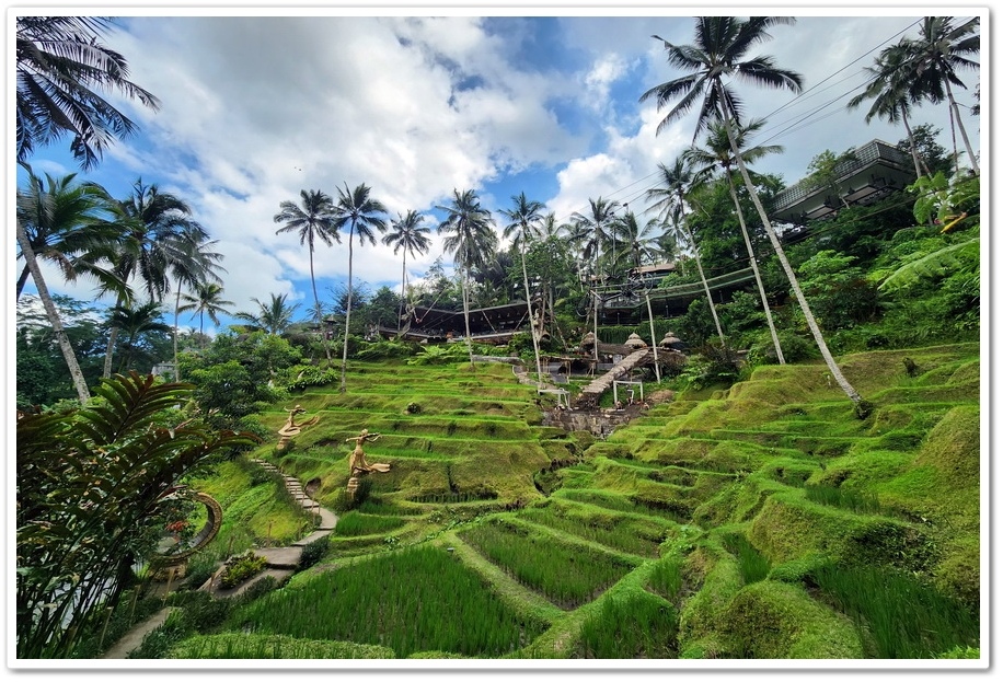印尼《峇里島》5日遊2-6.【Alas Harum Bal 印尼《峇里島》5日遊2-6.【Alas Harum Bal