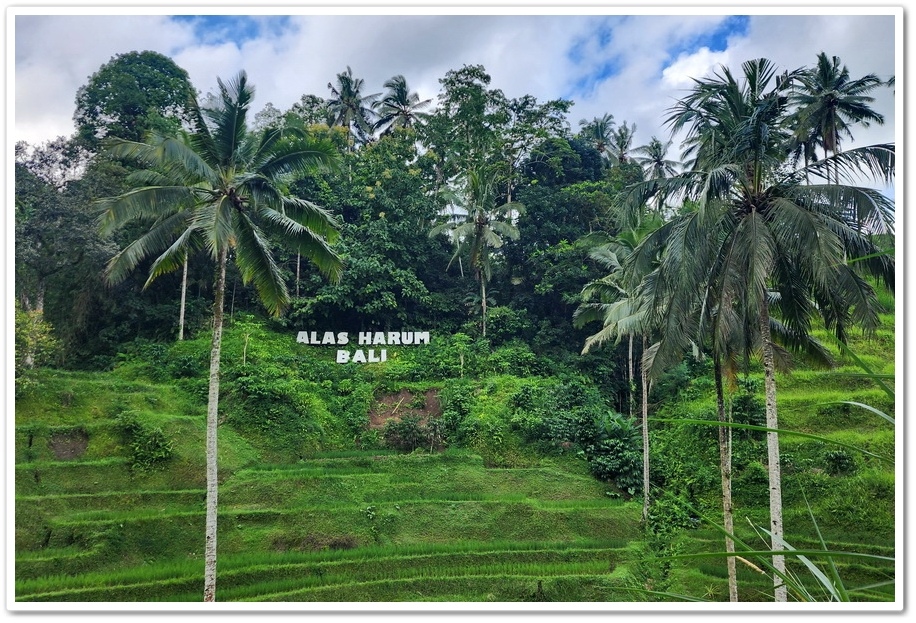 印尼《峇里島》5日遊2-6.【Alas Harum Bal 印尼《峇里島》5日遊2-6.【Alas Harum Bal