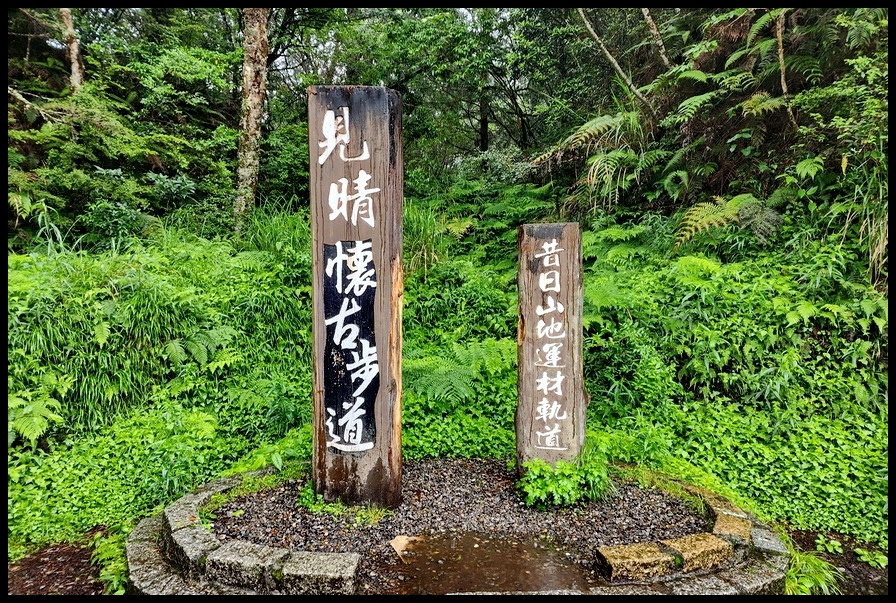 宜蘭太平山《見晴懷古步道》昔日運材軌道變身全球最美28條的小