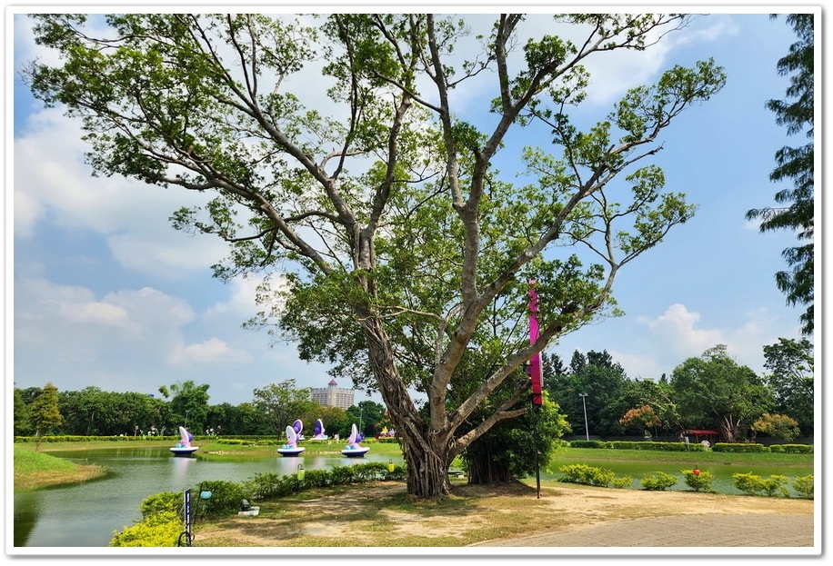 2025光織影舞《愛麗絲夢遊仙境》在【北香湖公園】展開一場奇 2025光織影舞《愛麗絲夢遊仙境》在【北香湖公園】展開一場奇