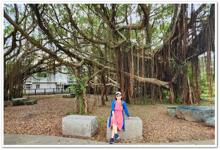 新北市金山區【金包里】廣安宮廟口《老街鴨肉》逛老街吃美食