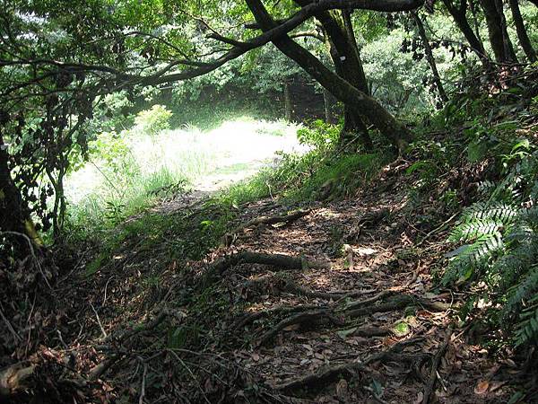 金露天宮、七星南峰、凱達格蘭遺址