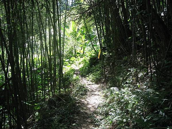 關西 赤柯山 東獅頭山 