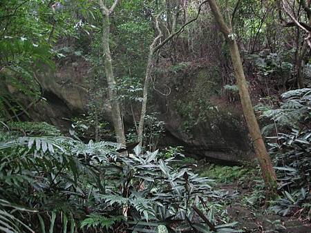 梅樹古道、南港山山腰路8字下聖德宮