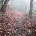 谷關七雄之東卯山